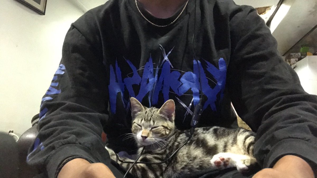 bleacherdays's tweet image. Everything is terrible but Trump lost so here’s a picture of me and my cat. Come back on the 20th for that song