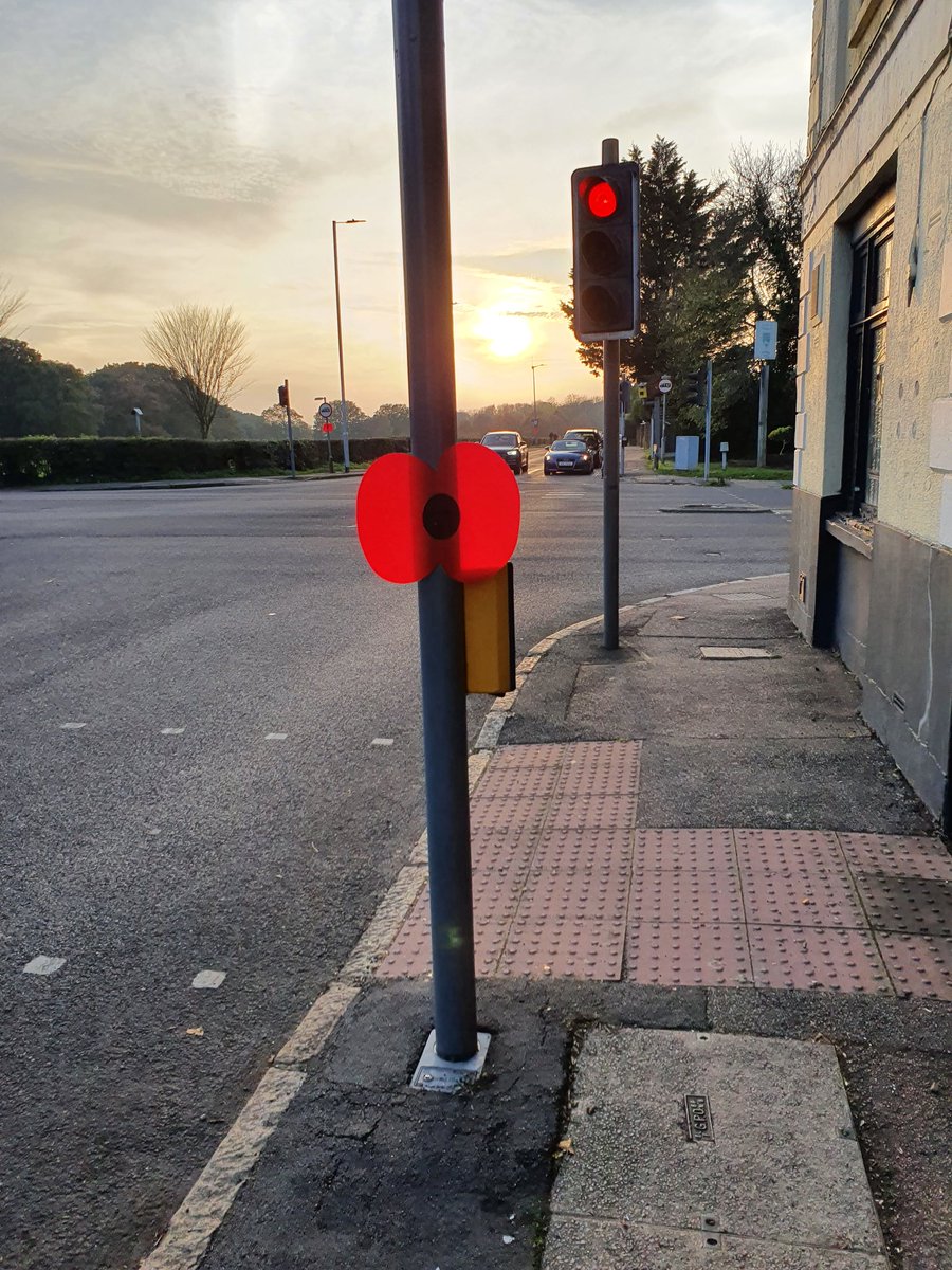 PranavBhanot88's tweet photo. Be part of the #ChigwellRow #lamppost #poppy #campaign to support @BritishLegionRX #PoppyAppeal. Sponsor a lamp post poppy for a suggested £11.00 (or more) here.
 https://t.co/FK7lVlguOo

#LestWeForget #RemembranceSunday #PoppyDay #PoppyStories #PoppySaturday https://t.co/DMXG2r1ppx