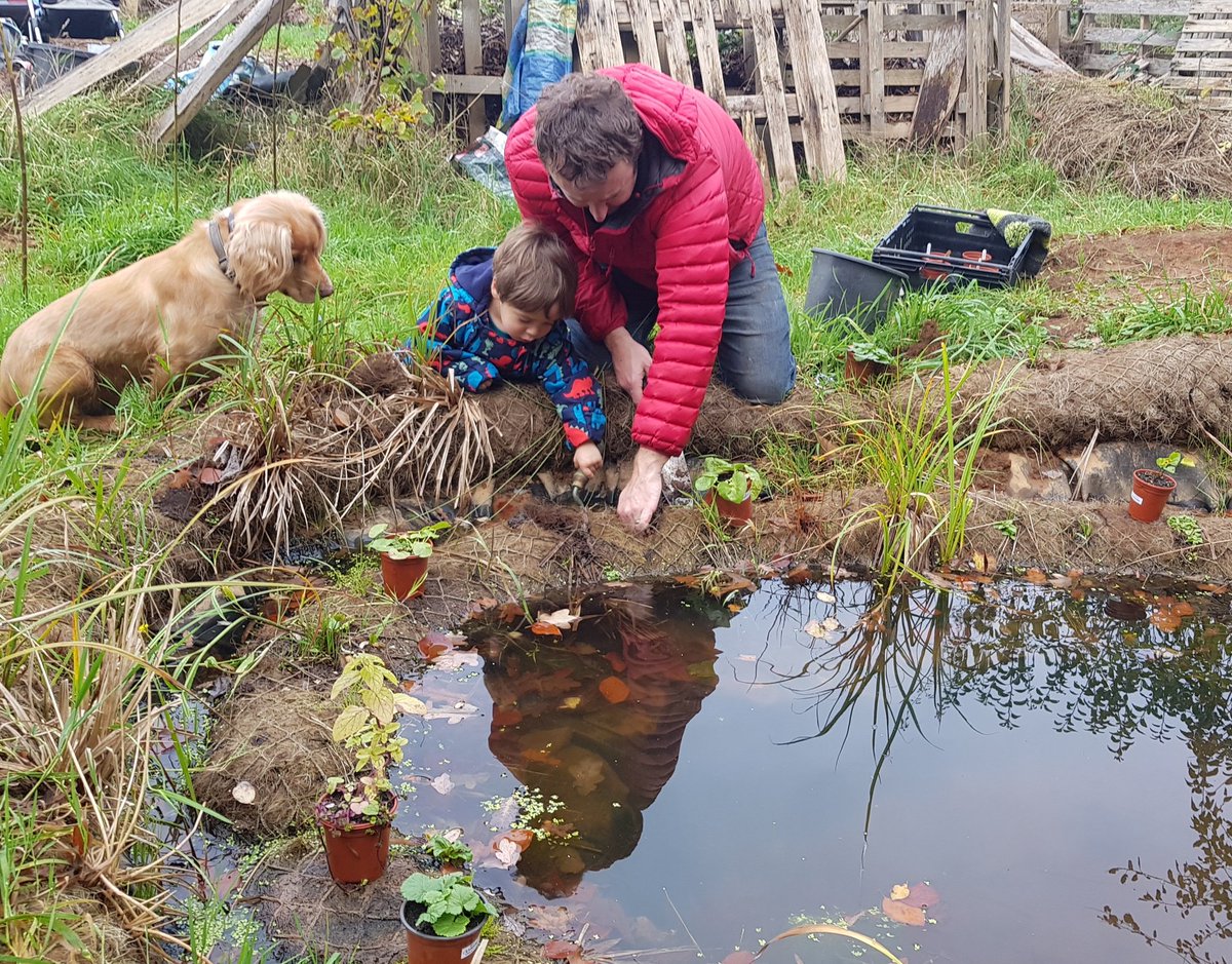 GrubbyBubba's tweet photo. Lovely day down @Woodcroft_Orch with @intrepidjanner and @chaosbanditio getting the pond planted up with @avonwt #growwilder plants. Can't wait till spring! https://t.co/DK41aeMftT
