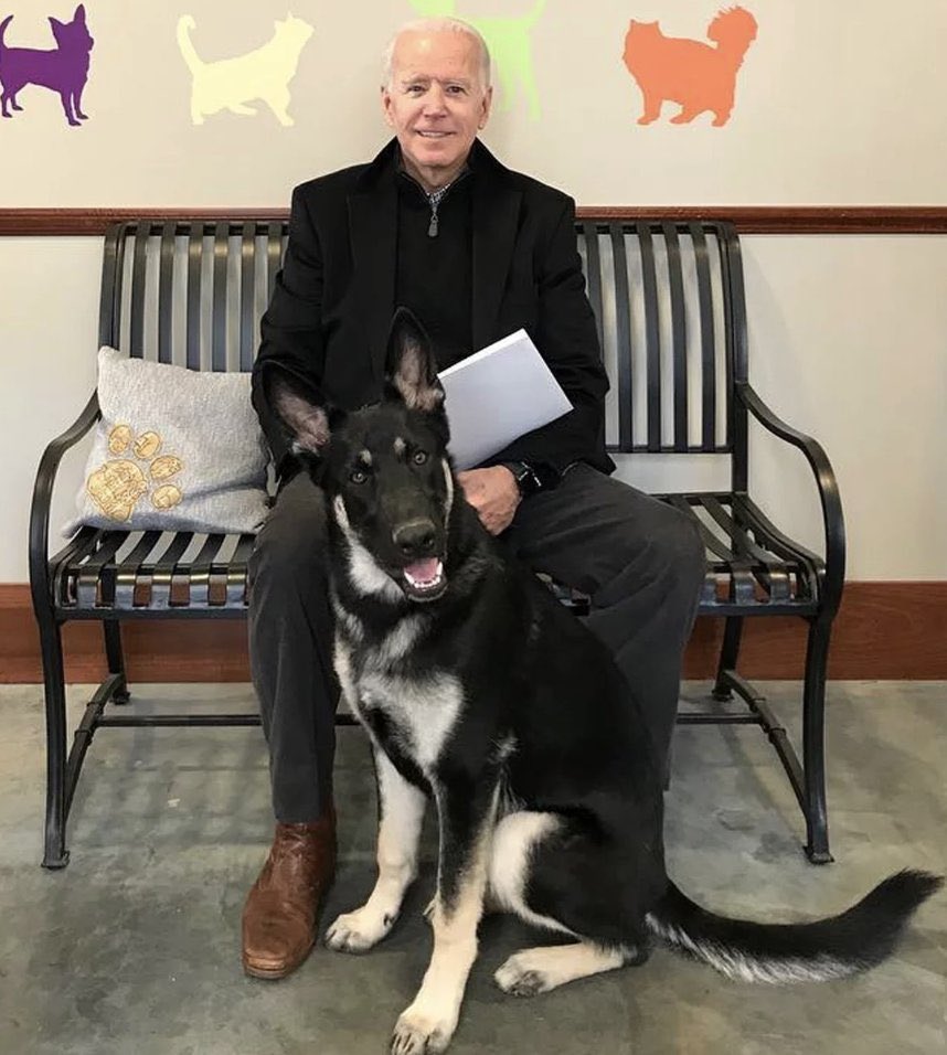 MissBaileyWoof's tweet photo. All hail Major and Chief. #FirstDogs #BidenHarris2020 https://t.co/iUwjV5KJyK