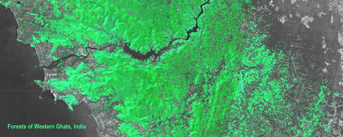 Sharkteeth11's tweet photo. #30DayMapChallenge Day 7 #Green

Emphasizing the forests of Western Ghats, India
Modified @gartn001 's #Blue script
Script - https://t.co/thrUEhWuBZ

Data - #Sentinel2, #EarthEngine https://t.co/HkJ6ZFOZ2H