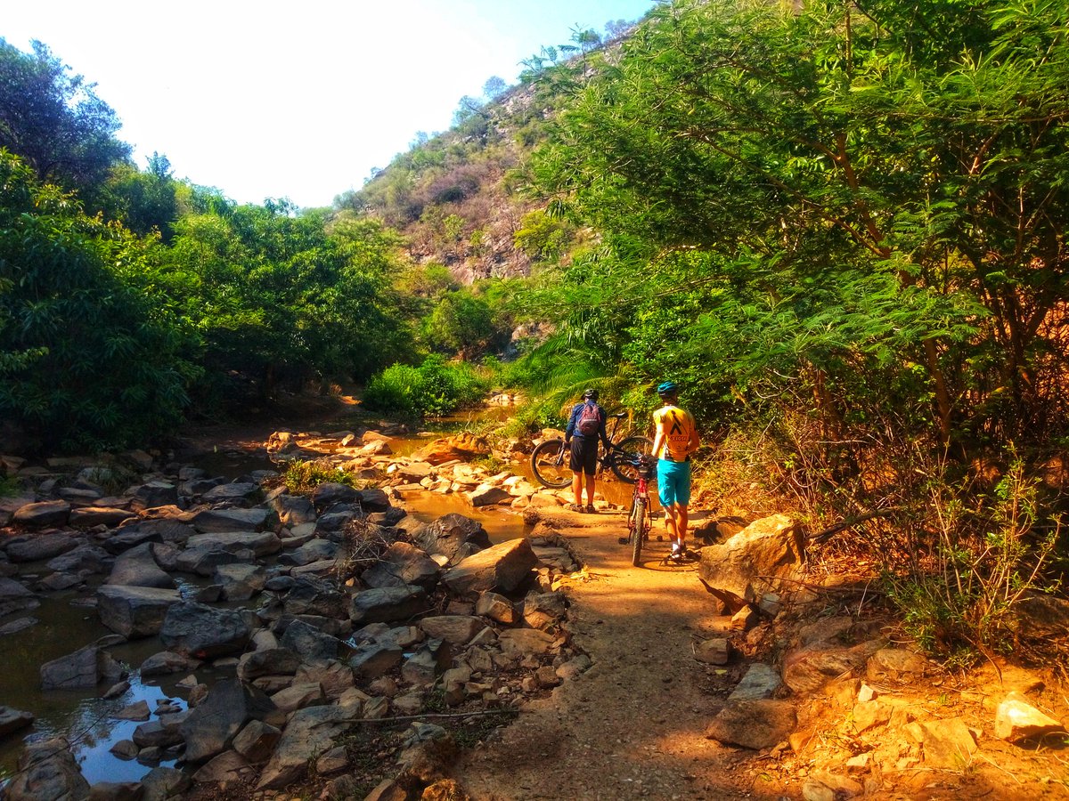 mwilaadventure's tweet photo. Today was epic!
From #Musoka Hill in #Shimabala to the #KafueRiver . Despite me getting 4 punctures (don't ask) it was almost perfect.
Thanks guys for reaching out we should do it again. I mean you should do it again🤣
#explorezambia #cyle #MTB #kona #zambia #tourism https://t.co/b32bMb2Wi7