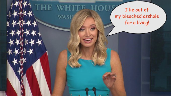 HerdDeep's tweet photo. @kayleighmcenany @JoeBiden You're gonna need a touch-up soon https://t.co/fr0ppo8FTq