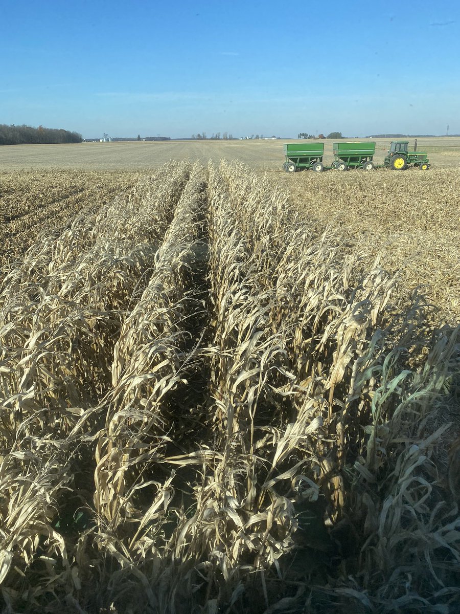 dgrim66's tweet photo. Final rows  #harvest2020 #blessed https://t.co/riZT5QpZeI