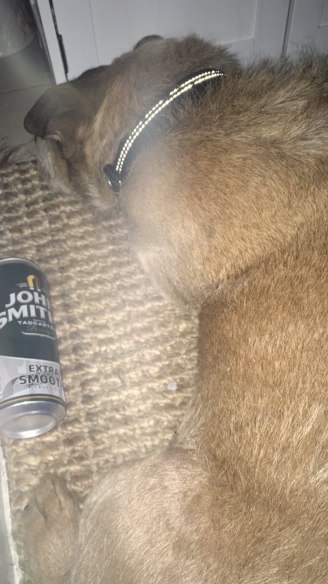 jonah131971's tweet photo. Our Seth listening to @ClassicFM pet sounds, very relaxed (looks like he’s had a few 🍻) https://t.co/DKLfCdr0Wl