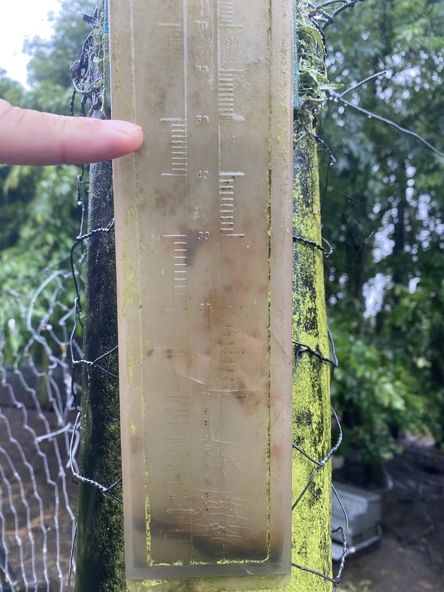 All Blacks last nigh in Brisbane, Biden won in the states but sometimes it’s the simple things like 46mm and counting for the dry east coast of Canterbury still looking for a spring it’s going to take so much stress out many peoples lives and a rainy Sunday morning in bed 👍