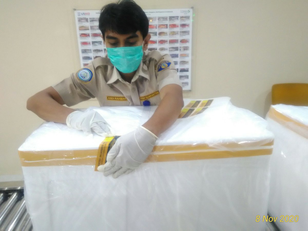 BPPMHKPMakassar's tweet photo. Dilanjutkan pemberian label penanda oleh petugas Pemeriksa #OneHealthKIPM https://t.co/gm3tw66728