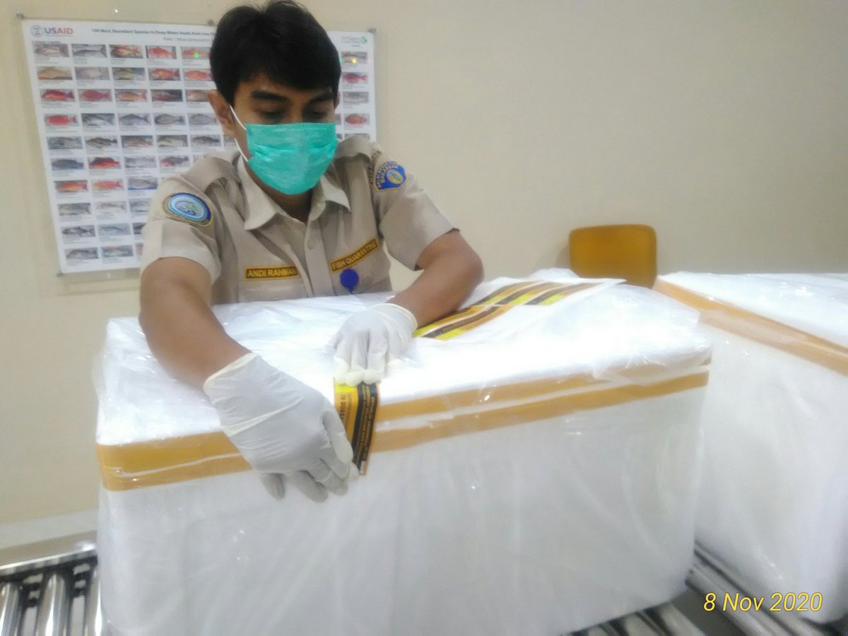 BPPMHKPMakassar's tweet photo. Dilanjutkan pemberian label penanda oleh petugas Pemeriksa #OneHealthKIPM https://t.co/gm3tw66728