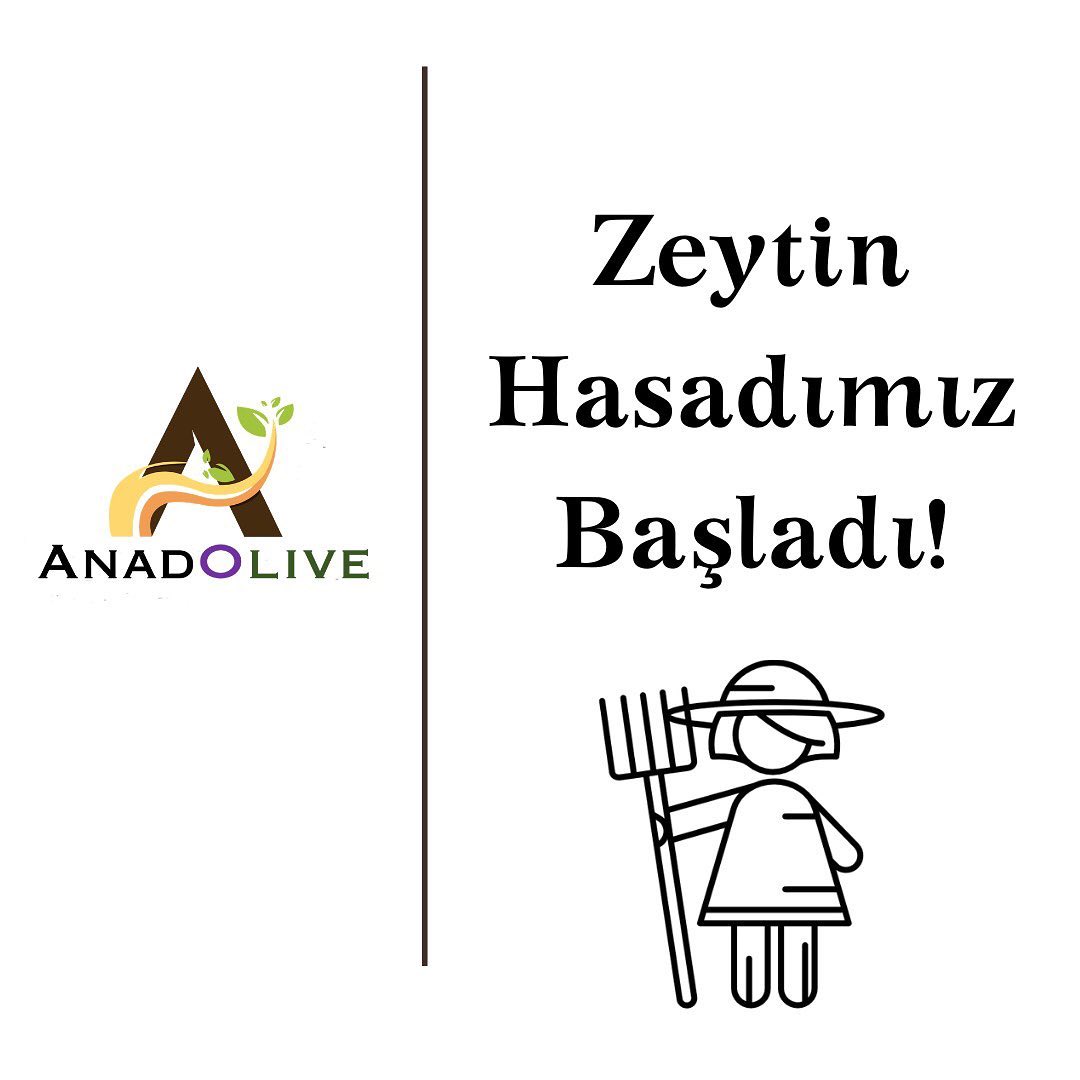 AnadOlive tweet media