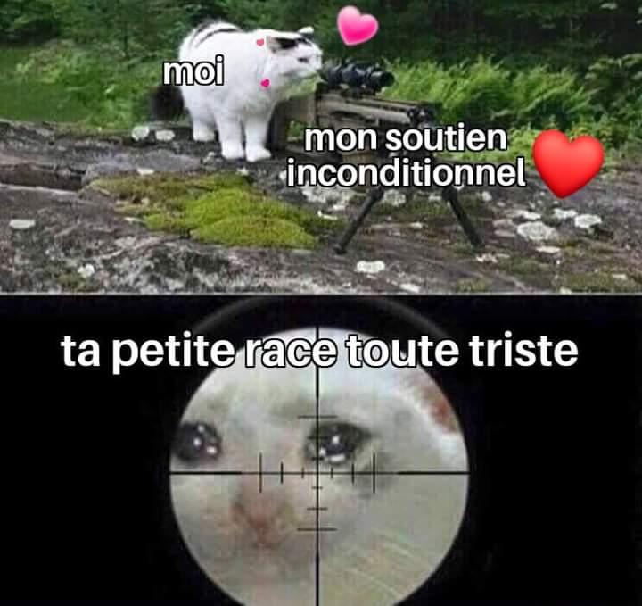 megidolateehee's tweet image. 