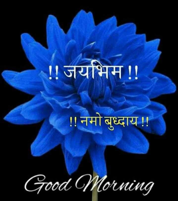 meera__bharti's tweet photo. दलित समाज के युवा रहते , मोबाइल मेँ व्यस्त |
 टिक टोक और कोमेडी मेँ ,युवा रहते  हैं मस्त ||
ध्यान नहीं  शिक्षा पर इनका ,आगे  ज़िससे बढते |
ज़िन बातों से कामों नहीं कुछ ,उन्में रहते हैं व्यस्त |
Fallow me 👍👇 
 @meera__bharti 
@bablu__kumar 
@pawankumar4697 
@Neeraj_verma7 https://t.co/sAIjZqL4wL