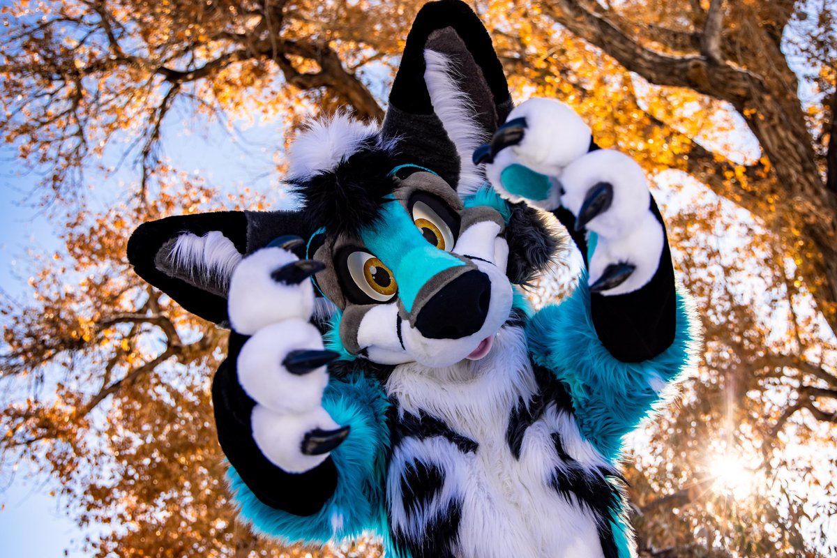 alpine D (alpine_exe) Twitter