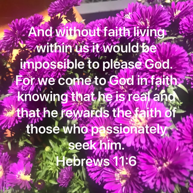 JimHagley's tweet photo. Our faith in Jesus is our avenue to unspeakable happiness!🙏🤗❤️ https://t.co/FDPVoIYDRA https://t.co/8GLTgDrGi5