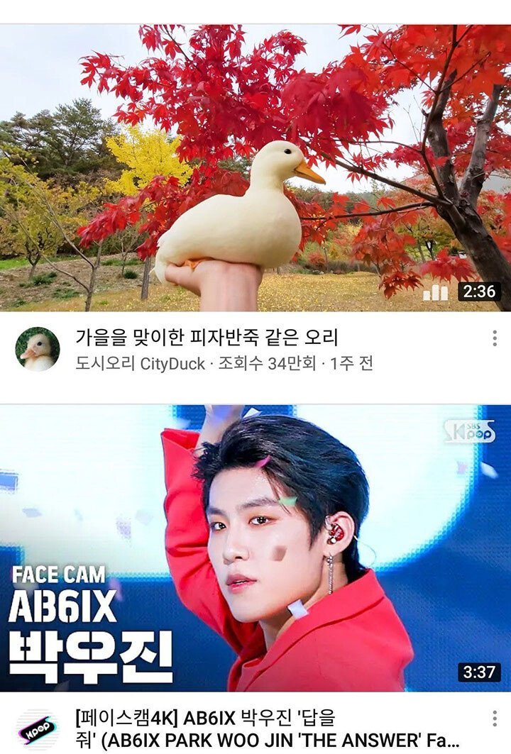 6cret_M's tweet image. อันนี้ไม่ไหวแล้ว ขำจะตาย555555555555555555555555