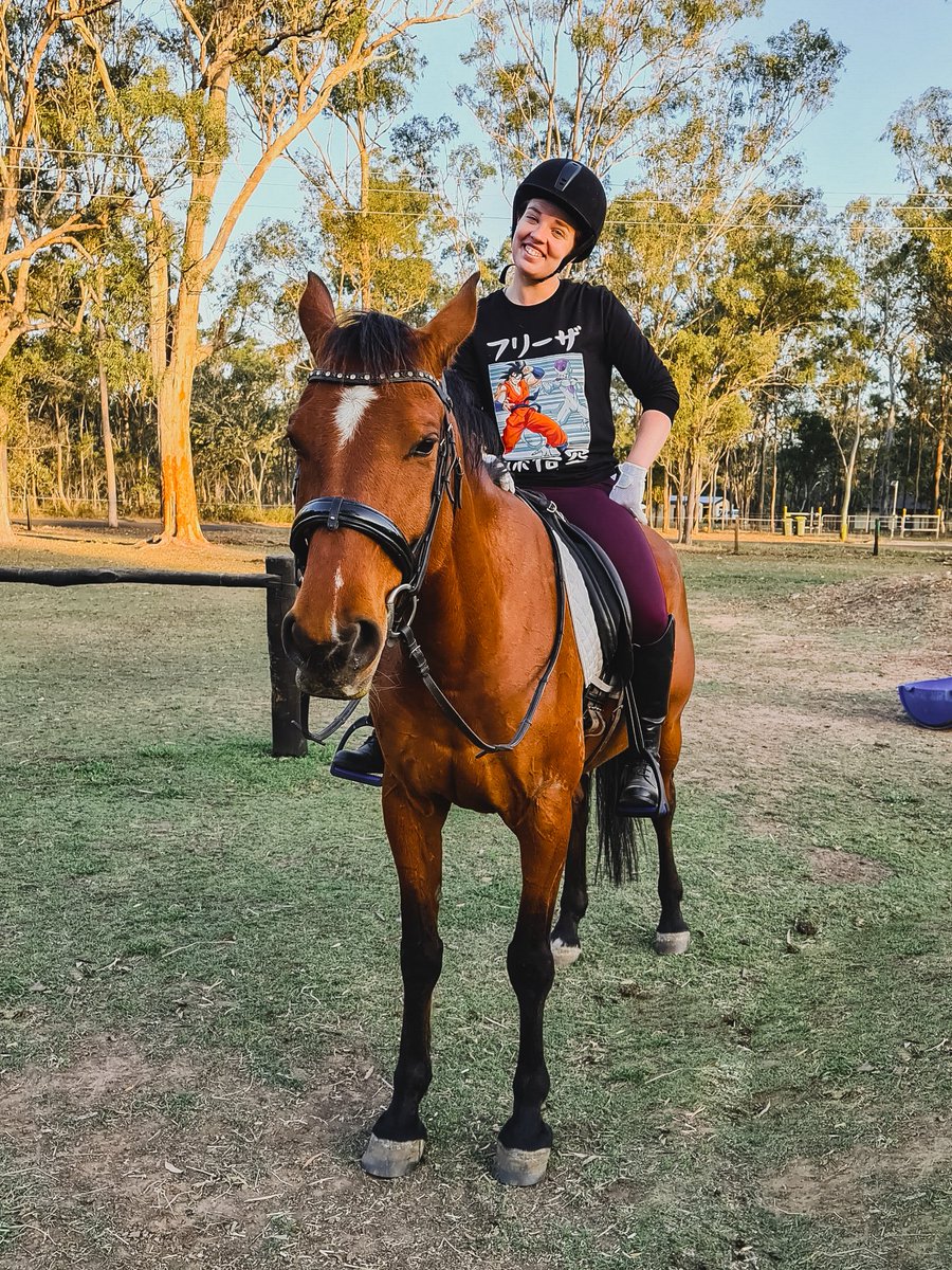 thebigrissole's tweet photo. Forever a king now an angel. ๐
My good boah who gained his wings on Friday. Certainly going to take a while.
#horse #equine #equestrian #goodboah #TheCapturedCollective #GamerGram #VGPUnite #RedDeadRedemption2 https://t.co/Y15GqpwZ2T