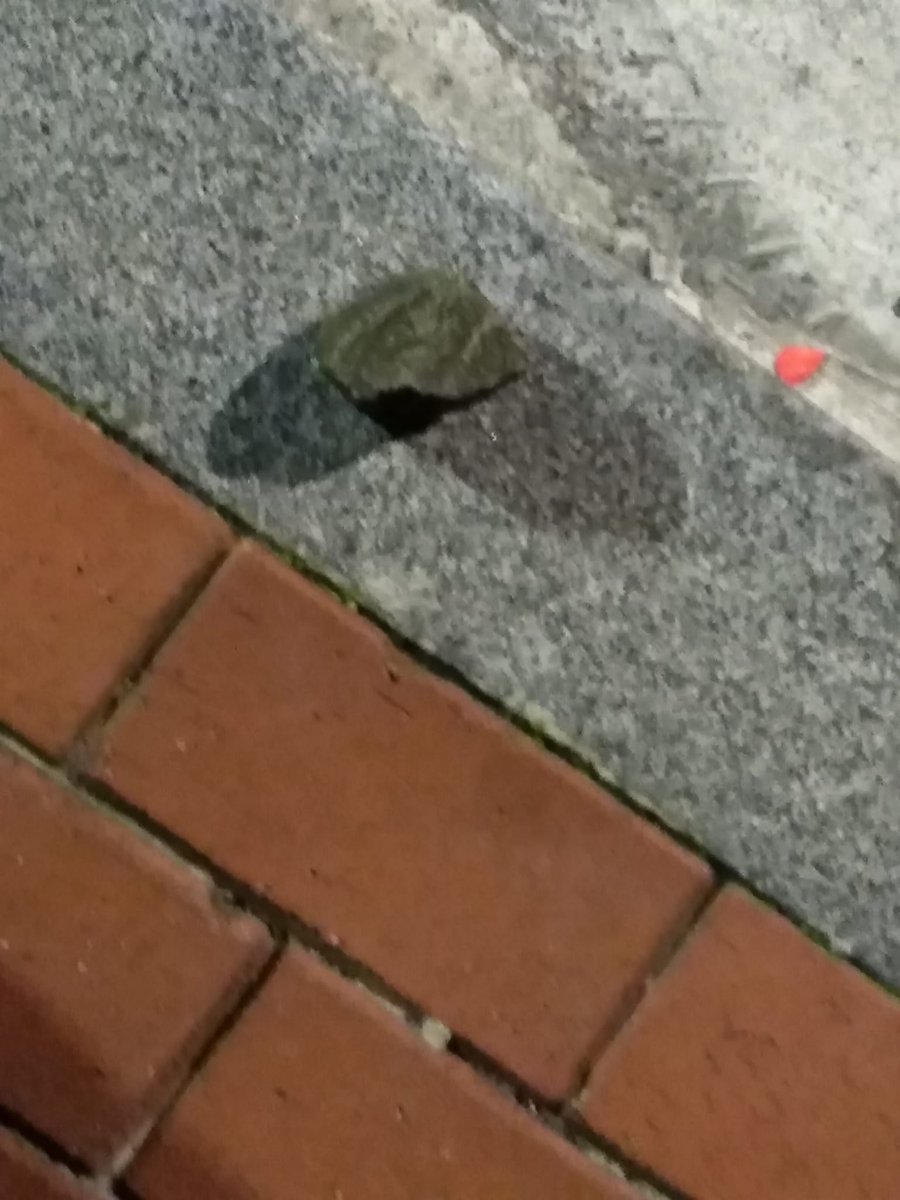Esta noche tres ratas encapuchadas han atacado el negocio de mi madre y de mi hermana apedreando los cristales y dejando una pintada amenazante. 

Mientras algunos se victimizan de manera falsaria, sus brigadistas atacan a los que previamente demonizan e incluso a sus familias.