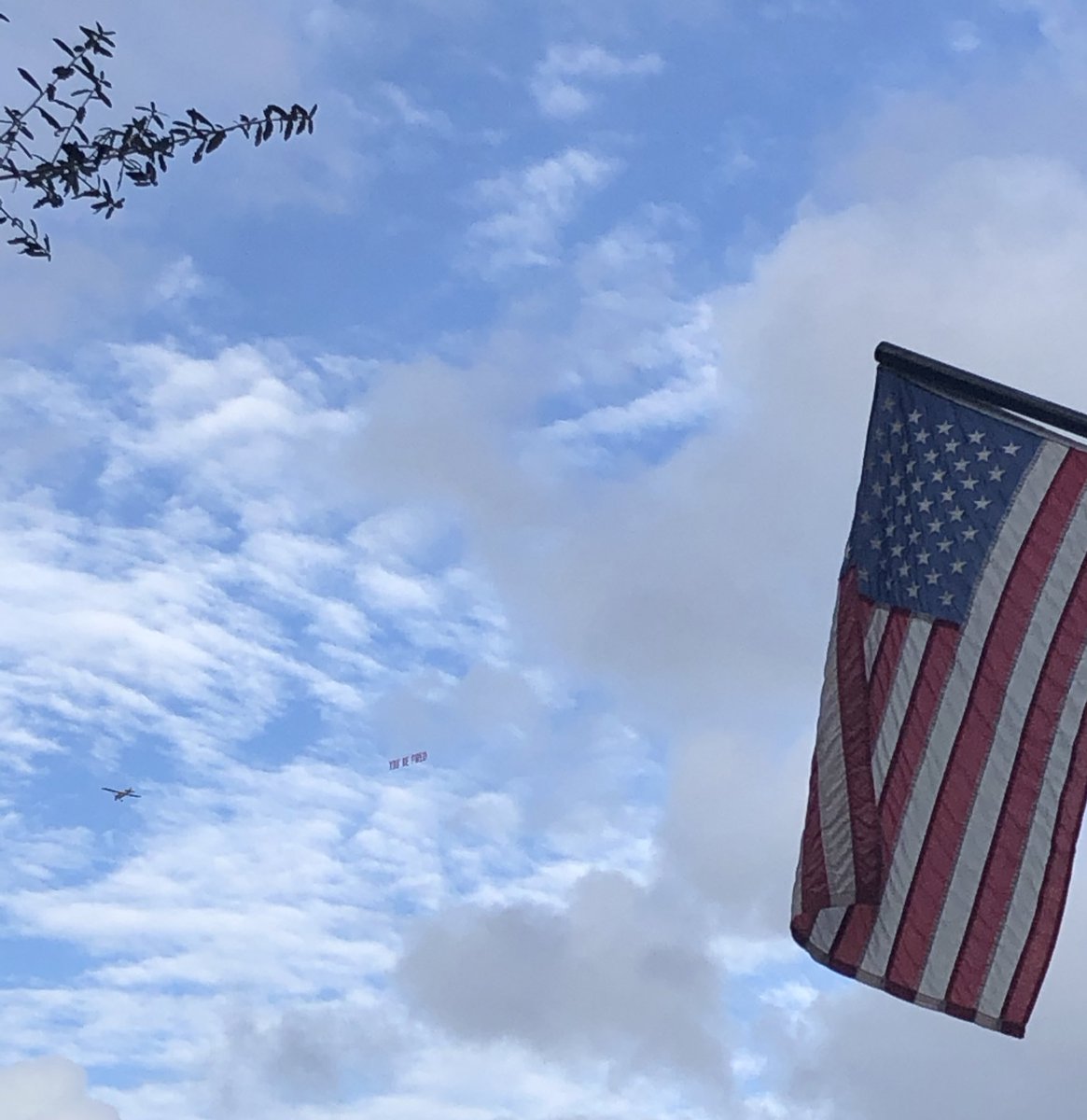 MelissaGomez004's tweet photo. Someone is flying a “YOU’RE FIRED” sign over Orlando https://t.co/88gJ73spD5