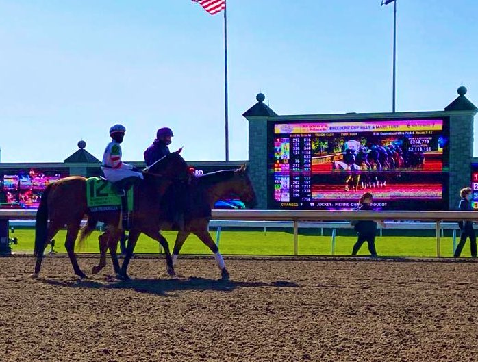 MeahLloyd's tweet image. So proud of our Lady Prancealot today, coming up just a length short when finishing 4th in the @BreedersCup F&amp;amp;M Turf Gr.I against the worlds best. She heads to @keenelandsales next week as a Gr.I winner. Well done to @TeamBaltas &amp;amp; the owners. #privatepurchase #searchingforvalue