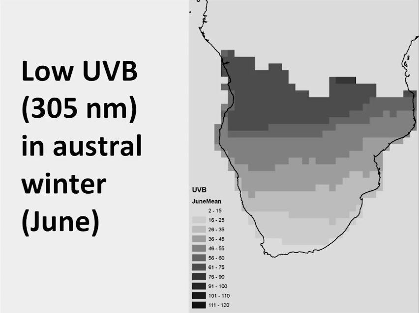 "The very extreme South West corner [of South Africa] is particularly bereft of sunlight in the austral winter––something that very few people appreciate. South Africa is a big country and there's a tremendous gradient of ultraviolet radiation." – Nina Jablonski ( @NinaJablonski1)