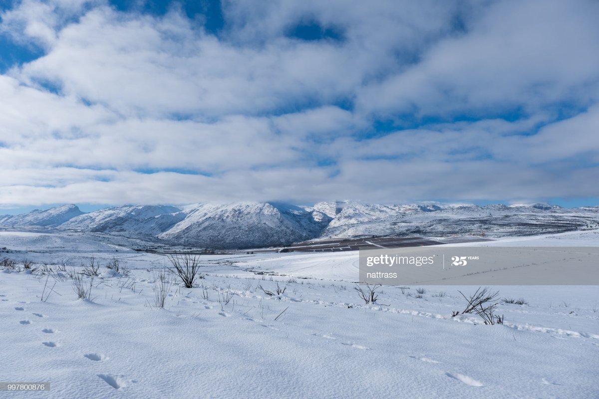 "The very extreme South West corner [of South Africa] is particularly bereft of sunlight in the austral winter––something that very few people appreciate. South Africa is a big country and there's a tremendous gradient of ultraviolet radiation." – Nina Jablonski ( @NinaJablonski1)