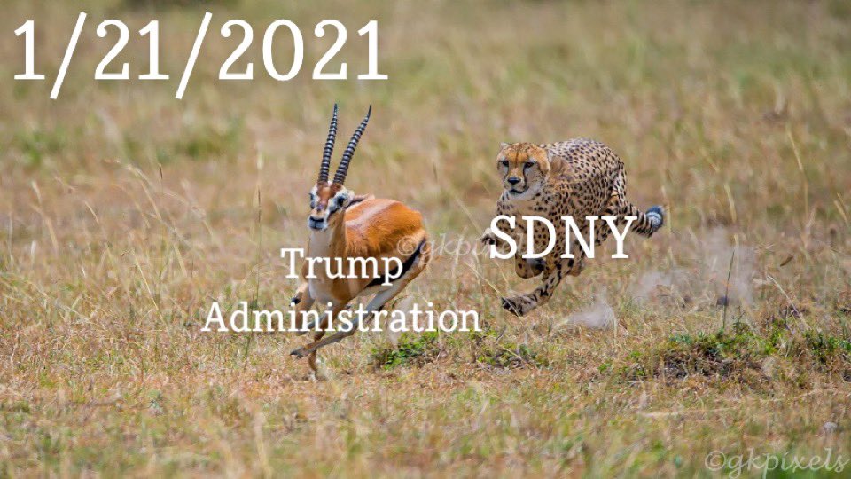 Trump Trump