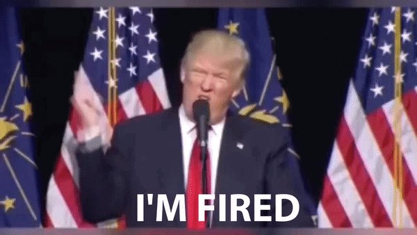 MelsThrowsPots's tweet photo. #YOUREFIRED https://t.co/D4JfsM09ZI