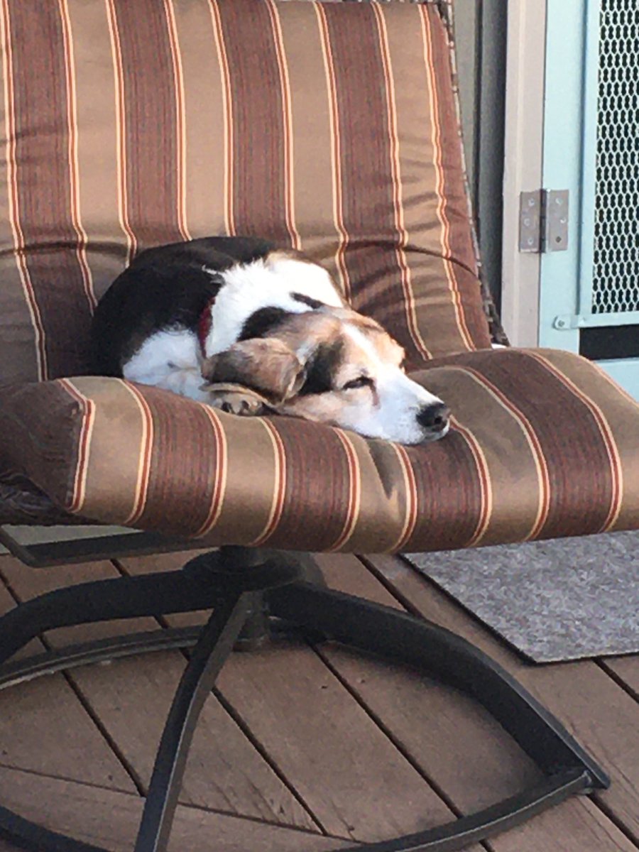 MillietheWB's tweet image. One last sunset at #lakekeuka #endoffall #lifeisgood #lakelife #keukalake #freagle #milco #milliewb