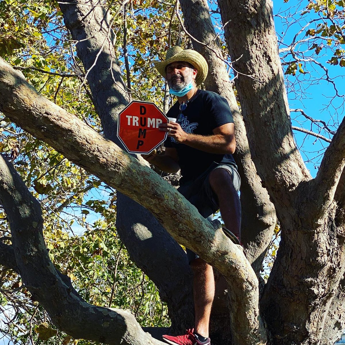 Emily Chang tweet media