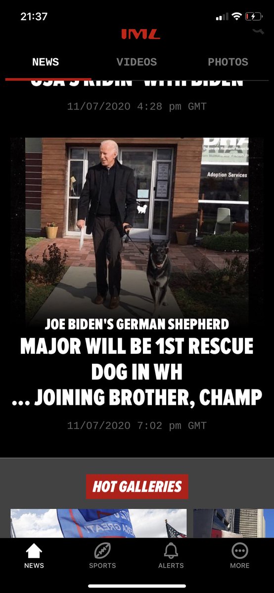 therescueshow's tweet photo. If we needed another reason to be grateful for this man today 🤗🐶❤️🐾 🇺🇸 

#rescuedog
#adoptdontshop
#bidenharris 
#presidentelect
#PresidentElectJoeBiden https://t.co/oIyywZ3erg