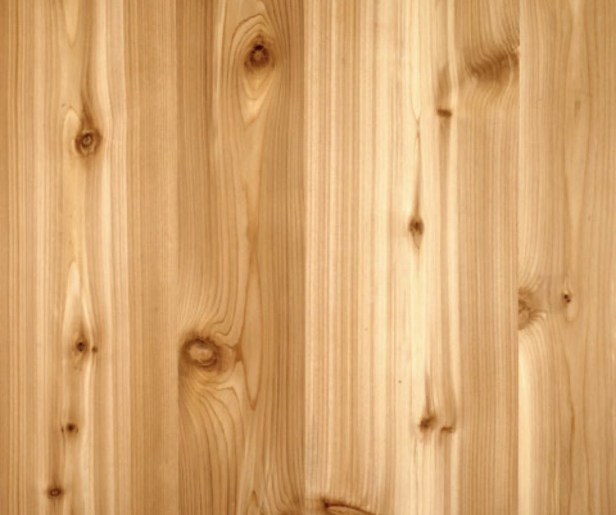 Timbaland 5.On the micro side, forests derive value from the type of wood. Species, dimensions, and grade aka how many knots or defects.Knotty Cedar $ vs Clear Cedar $$$