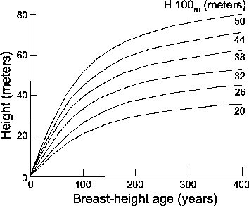 Timbaland 6.Because the volume of a tree increases exponentially to its radius (growth ring) you want the tree to grow for as long as possible. Ideally to where this flattens outSomething like if value of wood added per yr < than Hurdle rate, then cutNatural growth curve