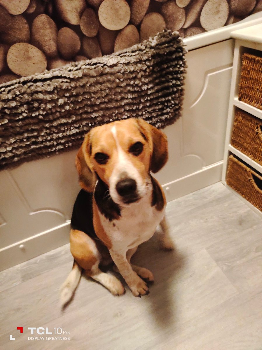 Can't go the toilet without my shadow