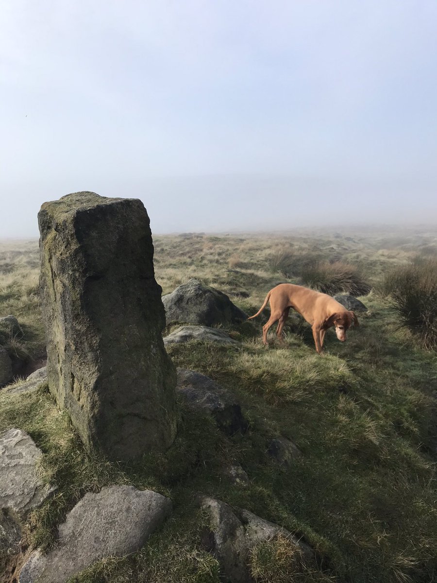jliza's tweet photo. Climbed the Roman Road up to Blackstone Edge for the views. A farmer on the way up warned us of the rolling fog. Couldn’t see a bloody thing 🤣 #getoutside #blackstoneedge https://t.co/yfGpKznzHI