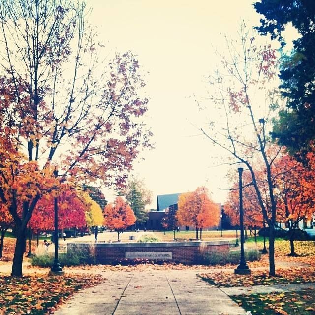 EIU New Student & Family Programs tweet media