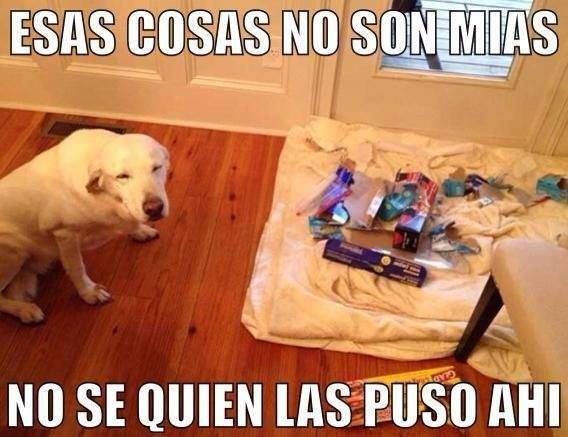aomorris's tweet photo. CUANDO TE HACES EL GIL ....
Y NO TE CREE NADIE !!! https://t.co/zxGEtkSd1r