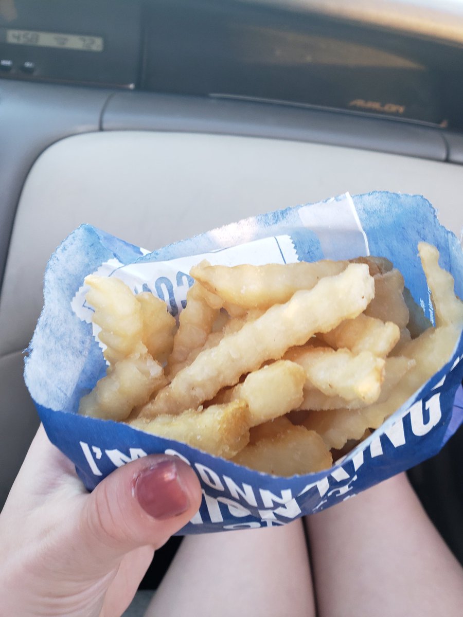 shooktitty's tweet photo. @culvers this is not a large fry https://t.co/sW9Gk64C5v