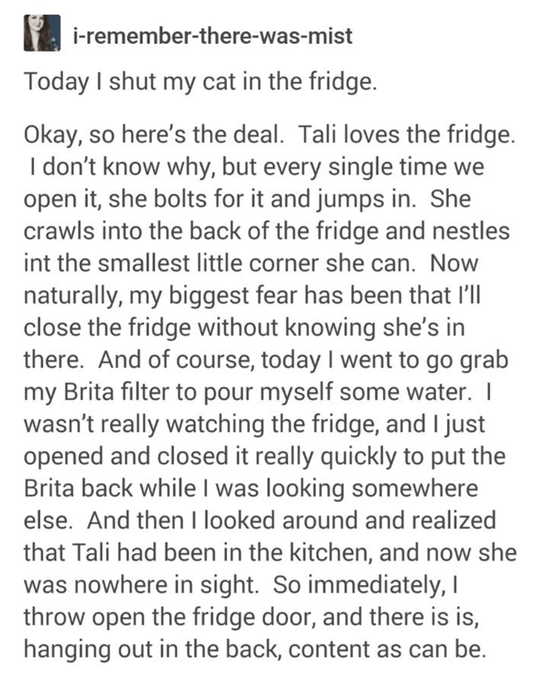 FunOverload's tweet image. 