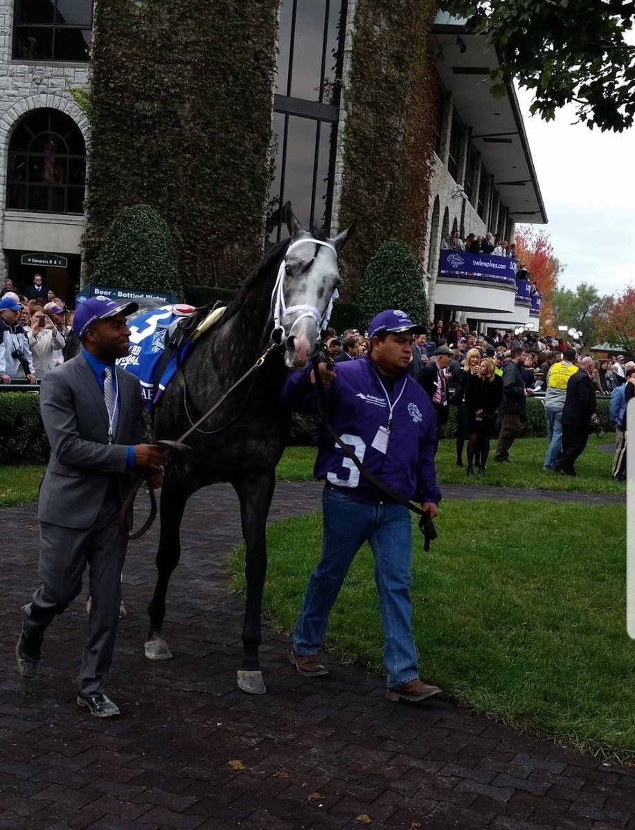 cub1fan1962's tweet image. @WeSupportHR #wesupporthorseracing #breederscup