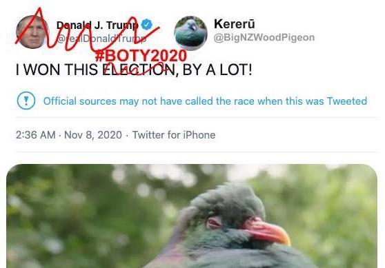 Competition for New Zealand's Bird of the Year can get pretty intense. Yes, the formidable kererū has won before (in 2018) but - in the interests of facts - we should point out that voting continues until 15 November #BOTY2020 #BYALOT