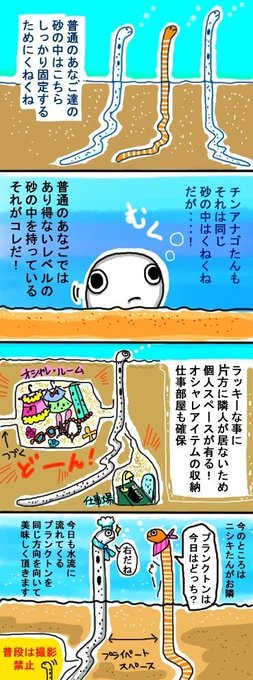 「あなの中へあなご」
アナゴたんのお部屋

#チンアナゴ
#チンアナゴの日 
#イラスト好きな人と繋がりたい 