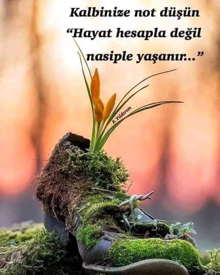 erdem demir (@erdemdemir2) on Twitter photo 