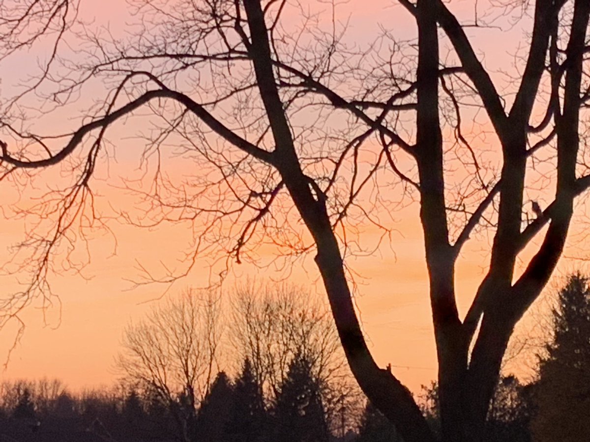 IanHughe's tweet photo. Beauty evening to a beauty day! Hope everyone made the most of it! #NovemberSummer #AgTwitter #ontag https://t.co/kLx5Za0mKr