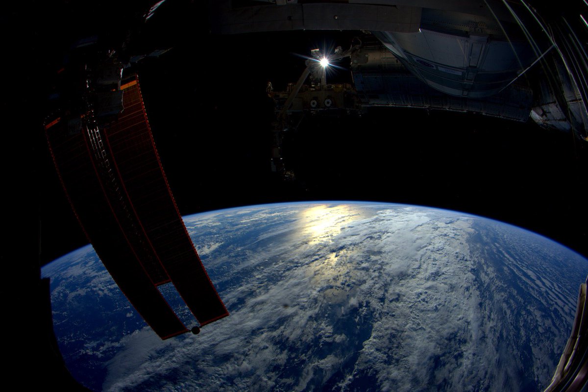 StationCDRKelly tweet picture