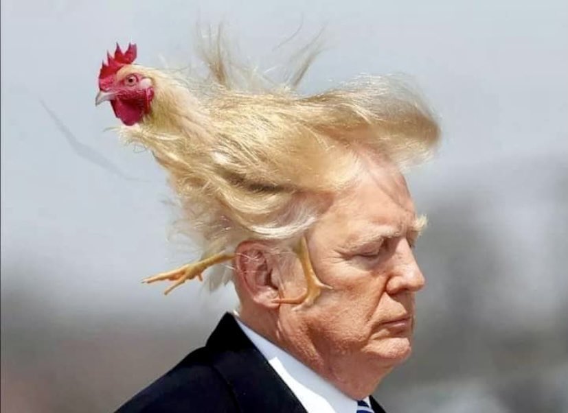 scientificrealm's tweet photo. @realDonaldTrump https://t.co/mHhndatUXb