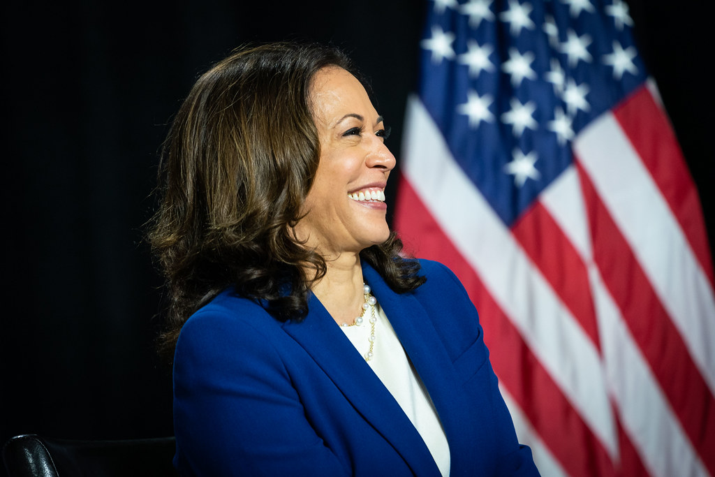 thousandeyeson's tweet image. "What I want young women &amp;amp; girls to know is: You are powerful and your voice matters. You're going to walk into many rooms in your life &amp;amp; career where you may be the only one who looks like you. But you are not alone." Kamala Harris, the first female, black and Indian American VP