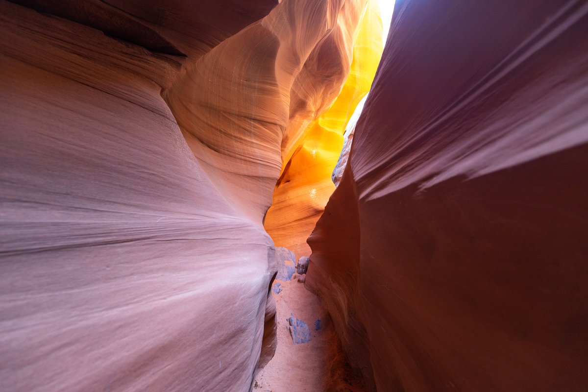 mfeingol tweet media