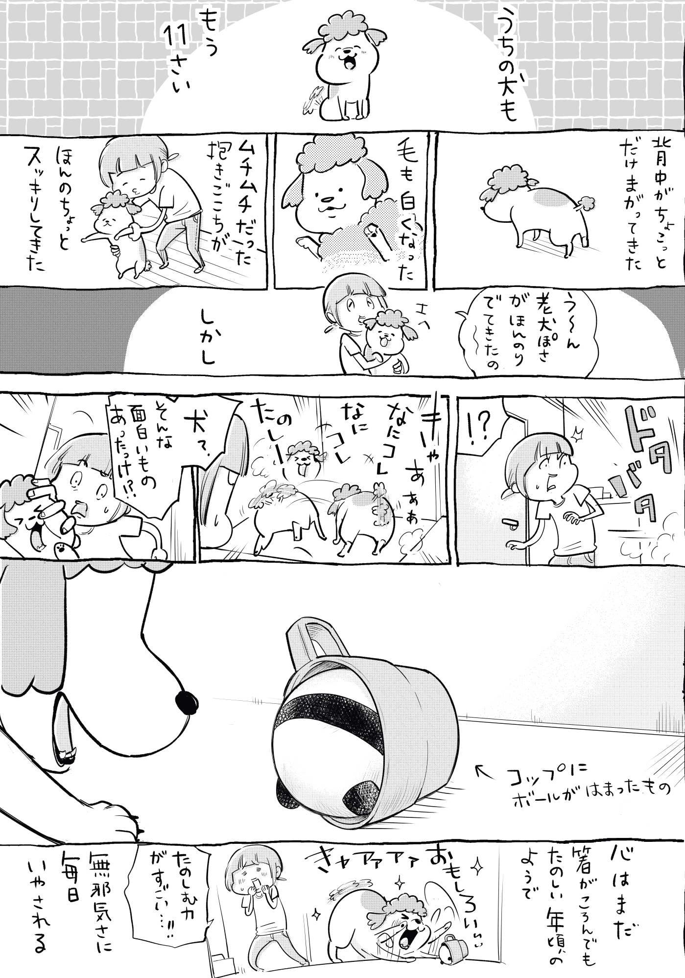 松本ひで吉 10月13日犬猫7巻発売 犬と猫どっちも飼ってると 歳をかさねたって毎日たのしい 松本ひで吉 10月13日犬猫7巻発売 犬と猫どっちも飼ってると 歳をかさねたって毎日たのしい
