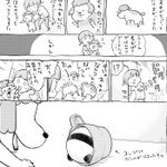 犬と猫がどっちもいる生活は？歳をかさねても毎日たのしい!
