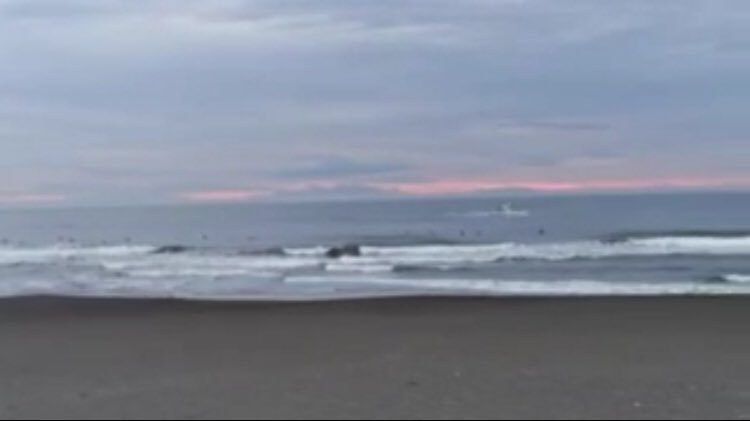nabe2430's tweet photo. 今朝の鵠沼は晴れ。波はコシハラのトロ速め。キレめから走れそうですがかなり混んでます。 https://t.co/xarcq58fsb