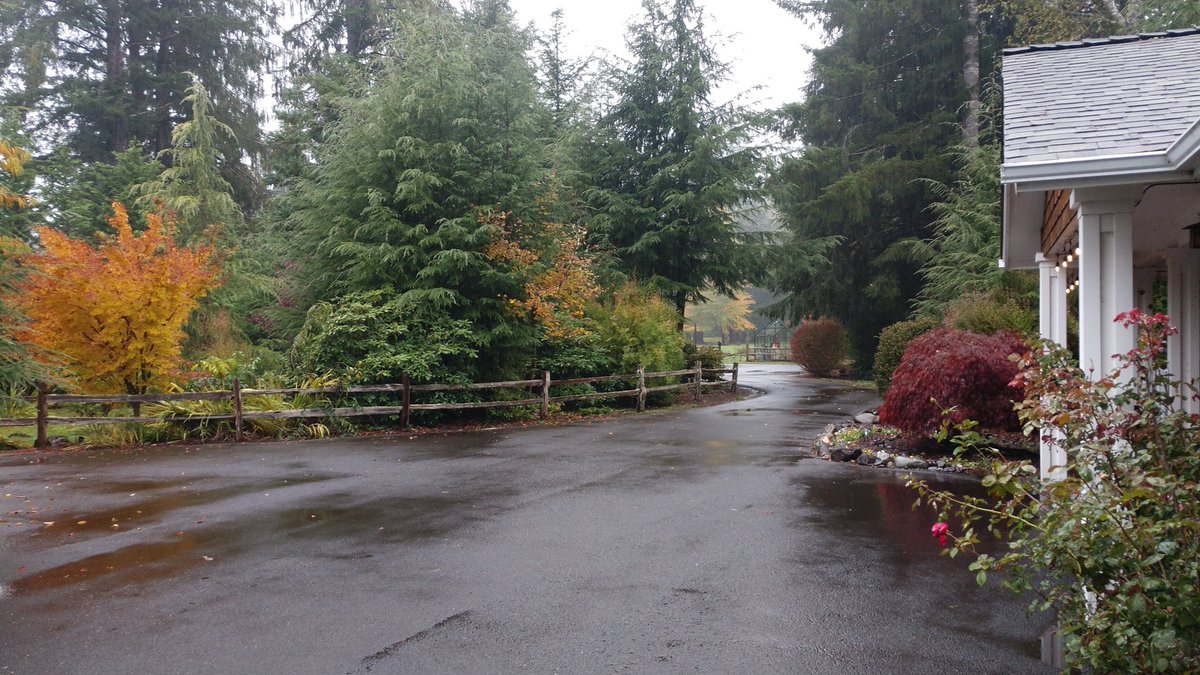 A rainy fall day at the Oregon coast